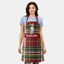 Vakantie Red Plaid Boston Terrier Hond Kerstmis