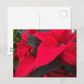 Vakantie rood Briefkaart (Voorkant / Achterkant)