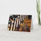 Vakantie Siamese 2 Feestdagen Kaart (Voorkant)