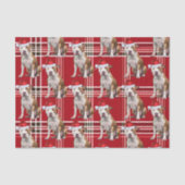 Vakantie Stafforshire Dog Red Plaid Kerstmis Tissuepapier (Voorkant)