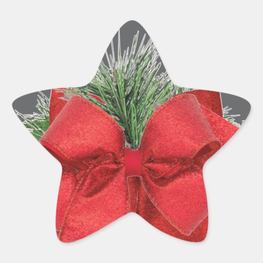 Vakantie Ster Sticker (Voorkant)