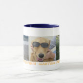 Vakantie van Baxters Mok (Midden)