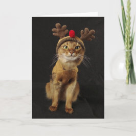 Vakantie van de Kat van de Spelen van het rendier Feestdagen Kaart