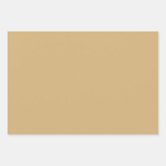 Vakantie Xmas Cadeaus Eenvoudig Chique Elegant Mod Inpakpapier Vel (Voorkant 2)