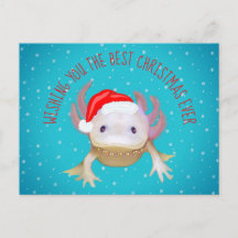 Vakantieansichtkaart