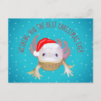 Vakantieansichtkaart Feestdagenkaart