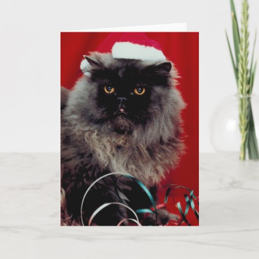 Vakantiecat Feestdagen Kaart (Voorkant)