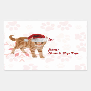 Vakantiecatten in rood en roze sneeuwvlok rechthoekige sticker