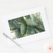 Vakantiedennenappels Rechthoekige Sticker (Envelop)