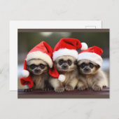 Vakantiedieransichtkaarten  feestdagenkaart (Voorkant / Achterkant)