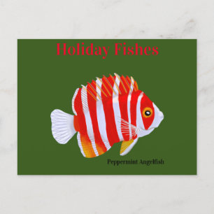 Vakantiefishes Pepermunt Angelfish Feestdagenkaart
