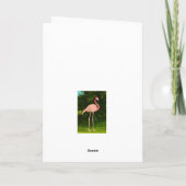 Vakantieflamingo Kaart (Achterkant)