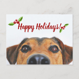 Vakantiefoto voor huisdieren feestdagenkaart