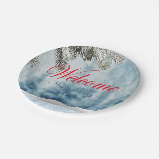 Vakantiegeld Baby shower Papieren Bordje (Gekanteld)