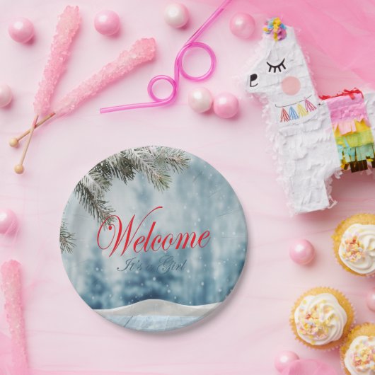 Vakantiegeld Baby shower Papieren Bordje (Feest)