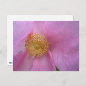 Vakantiegeld Briefkaart (Voorkant / Achterkant)