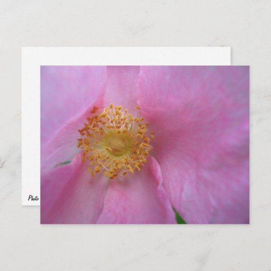 Vakantiegeld Briefkaart (Voorkant / Achterkant)