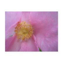 Vakantiegeld Briefkaart