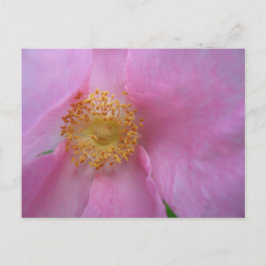 Vakantiegeld Briefkaart