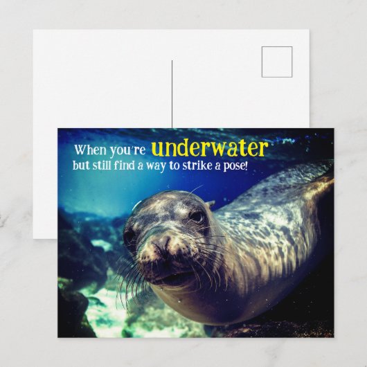 Vakantiegeld Briefkaart (Voorkant / Achterkant)