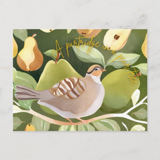 Vakantiegeld Briefkaart (Voorkant)