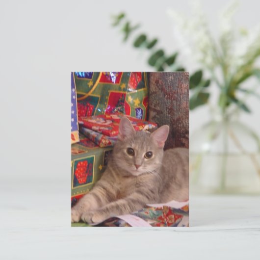 Vakantiegeld Kat Feestdagenkaart (Staand voorkant)