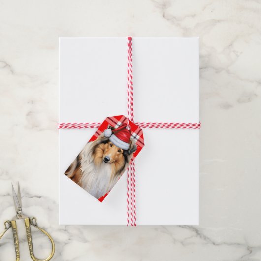 Vakantiegeld met een Collie Dog Kerstmis Cadeaulabel (Met Touw)