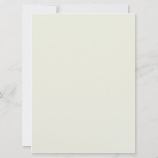 Vakantiegids Holly Santa's lijst van Nice (Achterkant)