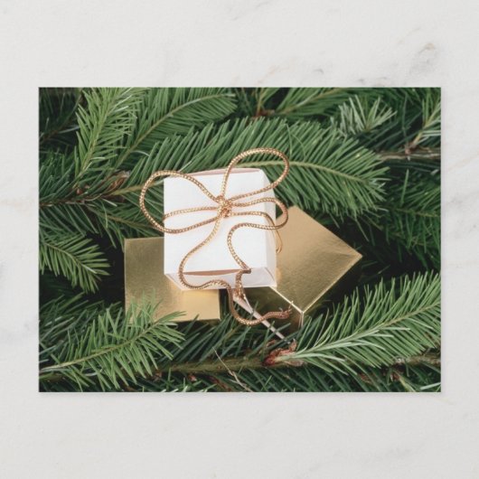 Vakantiegigaten in de boom feestdagenkaart (Voorkant)