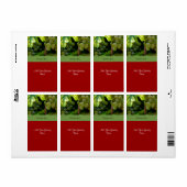 Vakantiegraad Wijnlabel met witte druiven Etiket (Full Sheet)