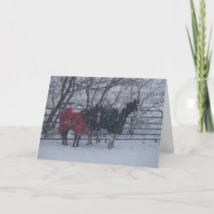 Vakantiegroet Feestdagen Kaart