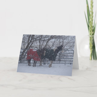 Vakantiegroet Feestdagen Kaart