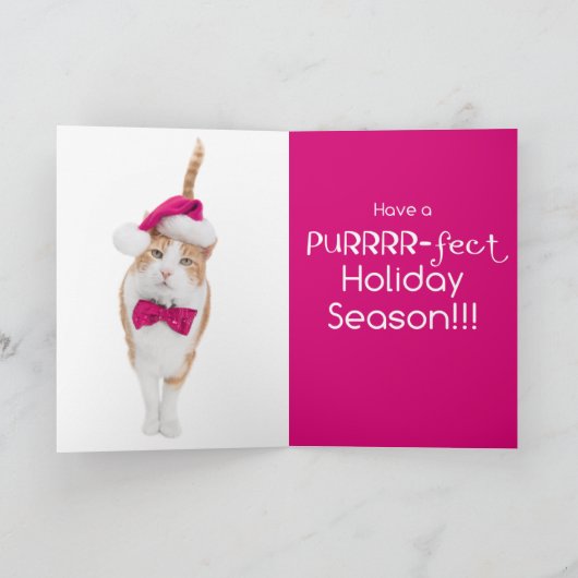 Vakantiegroet-Spunky-Kat Feestdagen Kaart (Binnen)