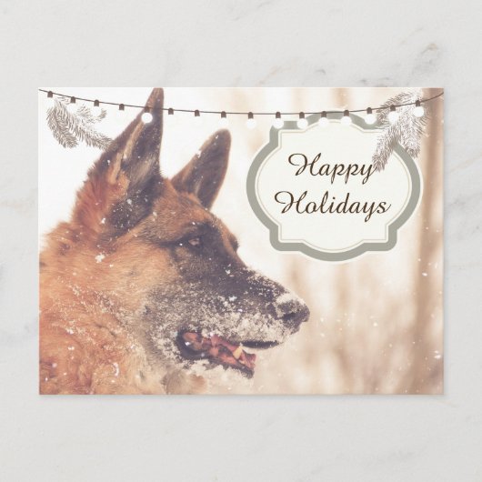 Vakantiegroeten Duitse Herdershond Ansichtkaart Feestdagenkaart (Voorkant)