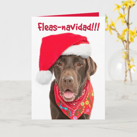 Vakantiegrootkaart Kaart (Gele Bloem)