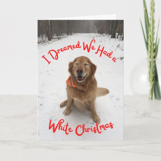 Vakantiekaart Dog droomt van witte kerst Kaart (Voorkant)