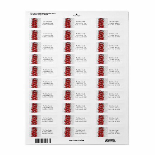 Vakantiekaart Envelope Return Address Label Sticke (Full Sheet)