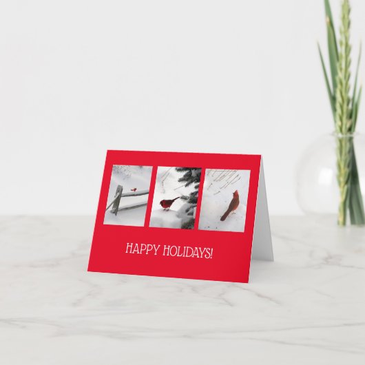 Vakantiekaart - Kardinalen in de sneeuw Kaart (Voorkant)
