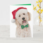 Vakantiekaart met Golden Doodle Kaart (Gele Bloem)