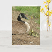 vakantiekaart - Moederdag met Gosling Kaart (Gele Bloem)