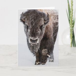 Vakantiekaart voor diepvries kaart