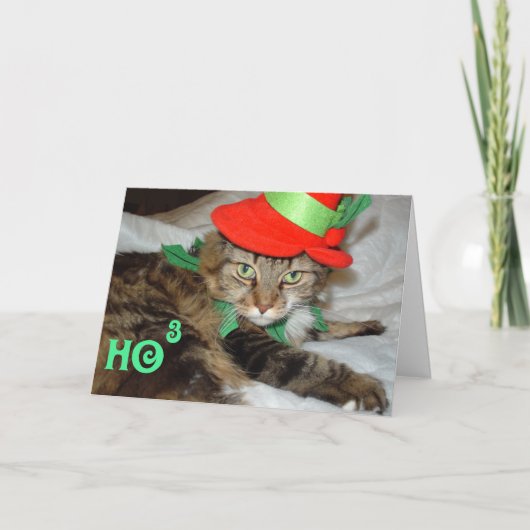 vakantiekaarten feestdagen kaart (Voorkant)