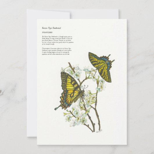 Vakantiekaarten Feestdagenkaart (Voorkant)