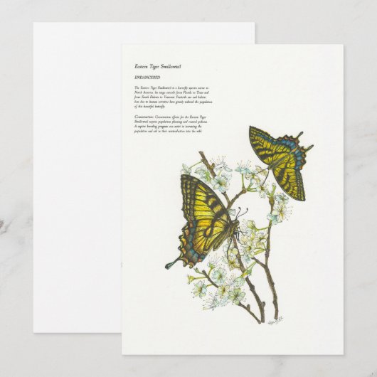 Vakantiekaarten Feestdagenkaart (Voorkant / Achterkant)