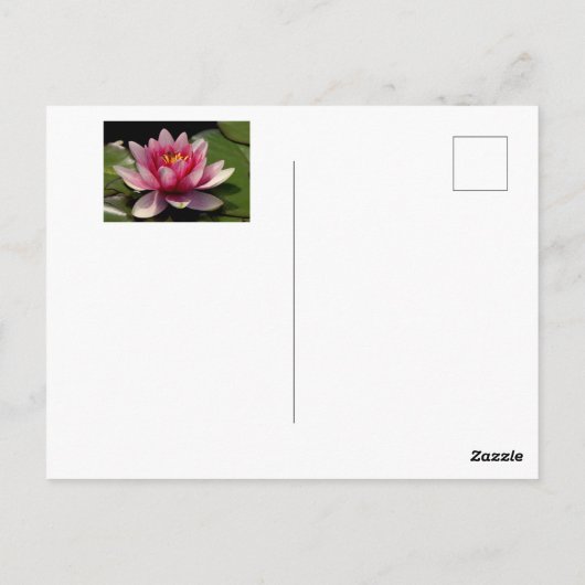 Vakantiekaarten met mooie lotus erop. briefkaart (Achterkant)