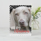 Vakantieknopkaart | Doggie Love Feestdagenkaart (Staand voorkant)