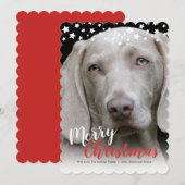 Vakantieknopkaart | Doggie Love Feestdagenkaart (Voorkant / Achterkant)