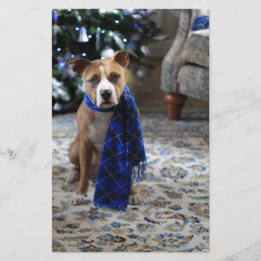 Vakantiekop van Pit Bull Rescue Dog Briefpapier (Voorkant)