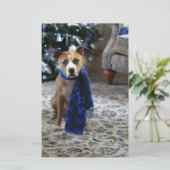 Vakantiekop van Pit Bull Rescue Dog Briefpapier (Staand voorkant)