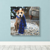 Vakantiekop van Pit Bull Rescue Dog Canvas Afdruk (Insitu (Houten vloer))